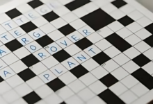 Bumped Things NYT Crossword