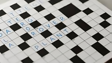 Bumped Things NYT Crossword