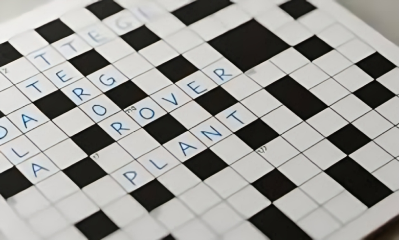Bumped Things NYT Crossword